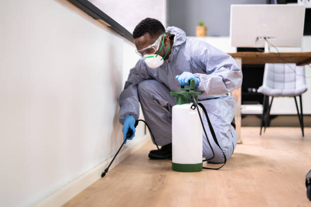 Best Pest Exclusion Services  in Vivian, LA